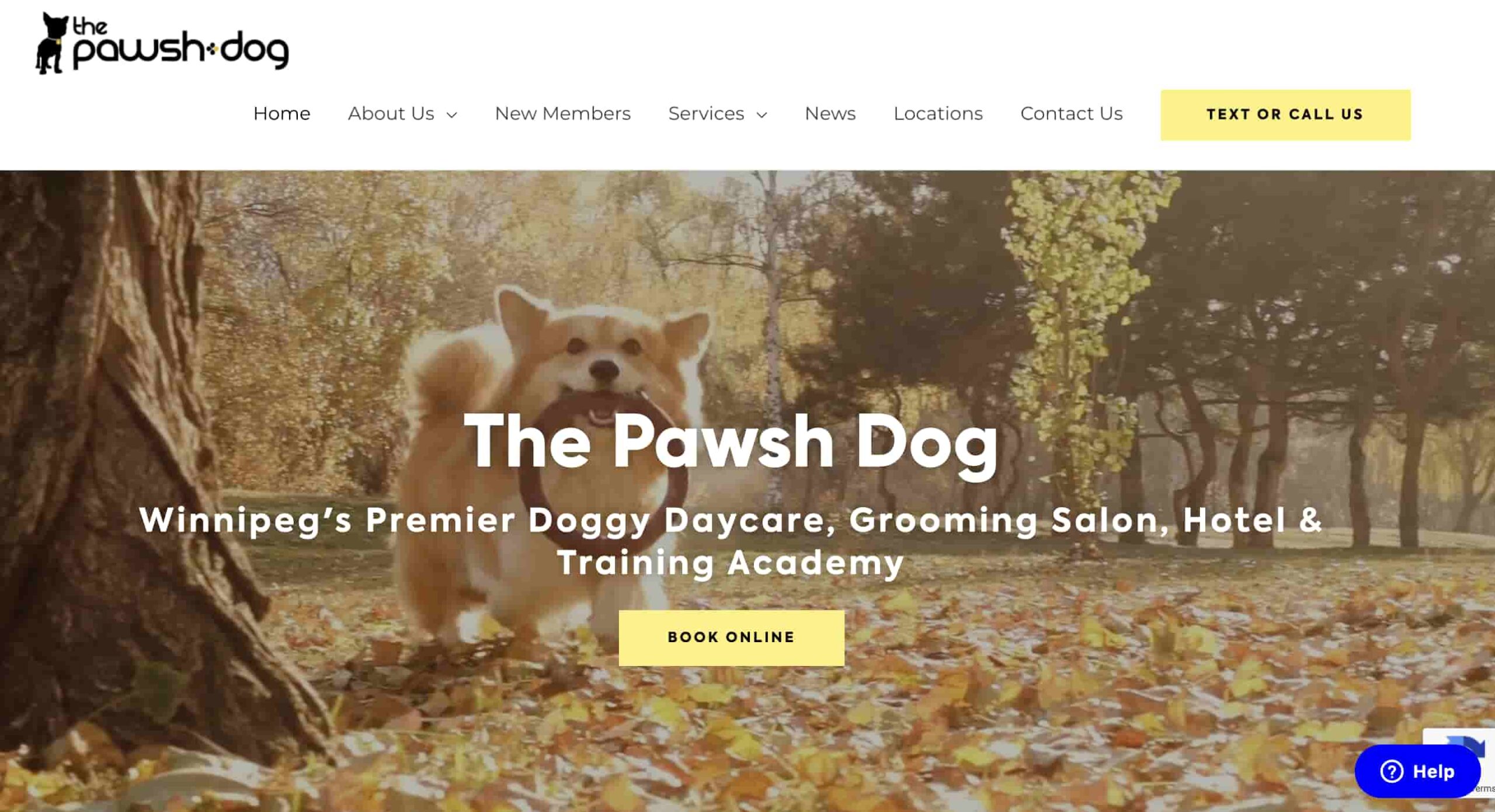 The Pawsh Dog Inc.